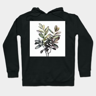 Adorable ZZ Plant Drawing Illustration Hoodie